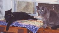 Merlin and Emily 1999 01